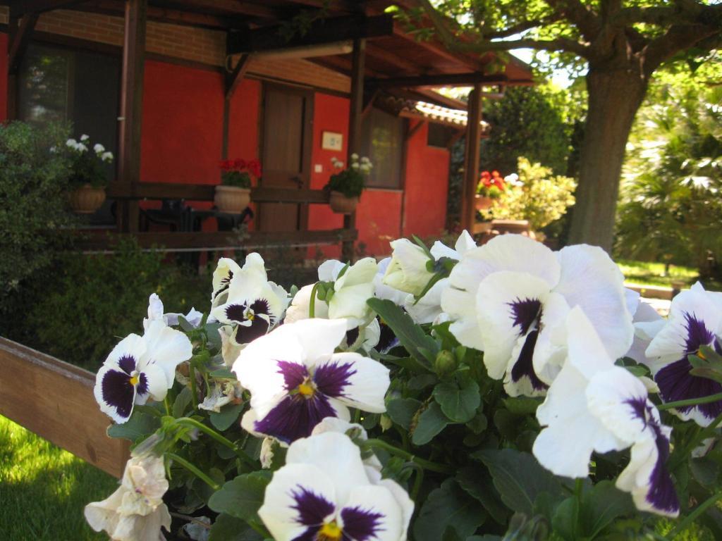 Country Apartments Castel di Decima Exterior foto